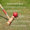 Six Player Croquet Set