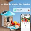 Smart Bird Feeder with Camera, 2K HD AI Identify 10000+ Bird Species, Solar-Powered Bird Watching Camera with Auto Capture & Instant Notify